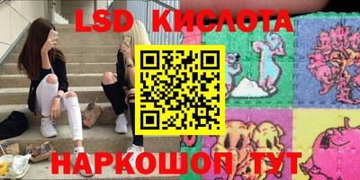 индика Гусев