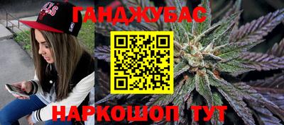 индика Гусев
