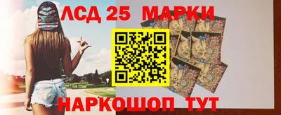 индика Гусев
