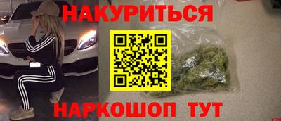 индика Гусев