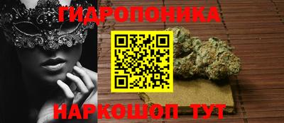 индика Гусев