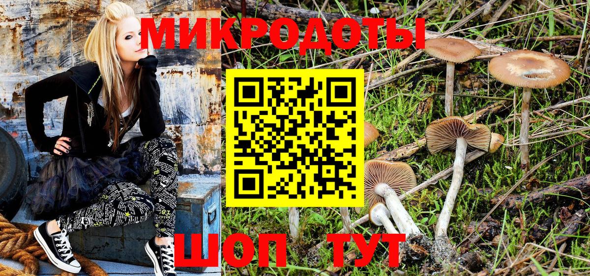 Галлюциногенные грибы MAGIC MUSHROOMS Кондопога
