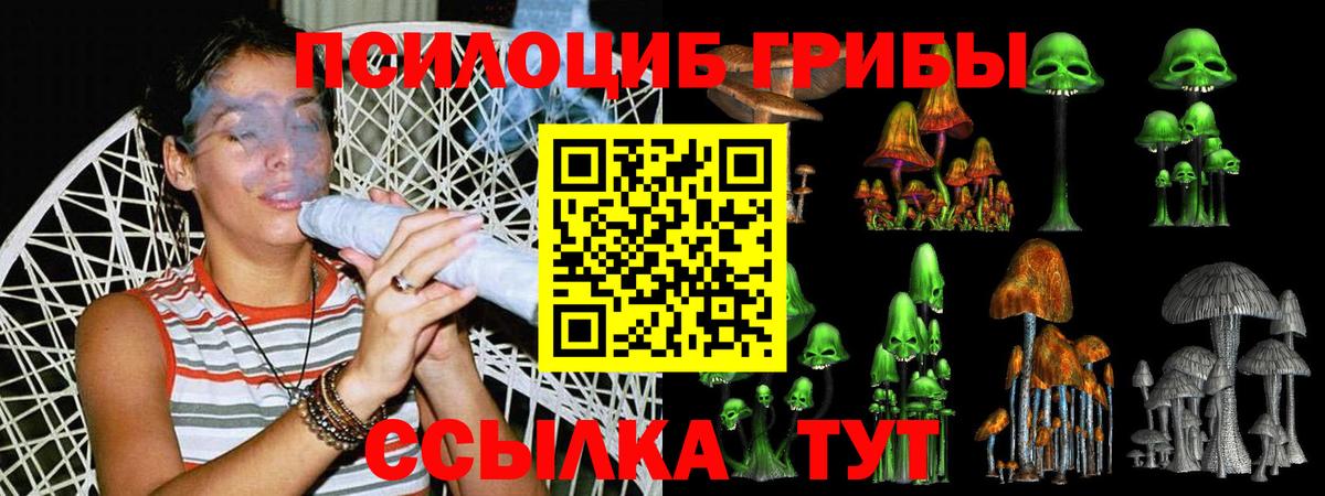 Псилоцибиновые грибы мухоморы  купить наркоту  Кондопога  Псилоцибиновые грибы MAGIC MUSHROOMS  Вход с VPN 